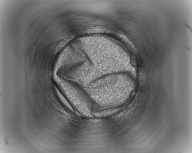 X0000094791217200712071220