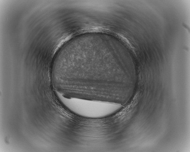 X0000094791218200712071220