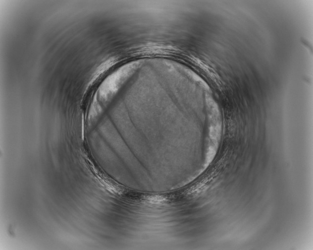 X0000094791219200712071220