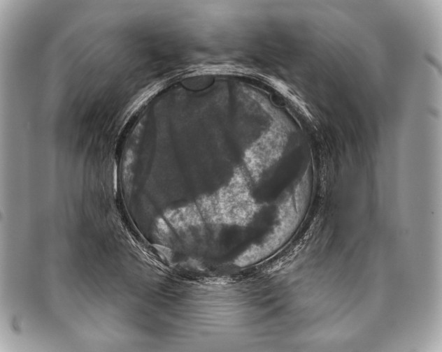 X0000094791221200712071220