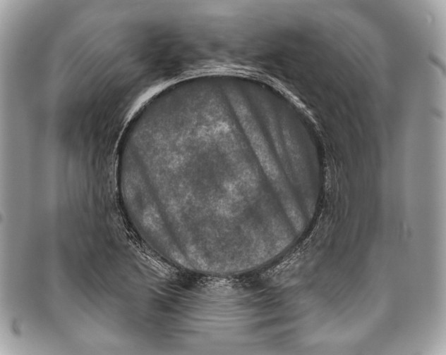 X0000094791222200712071220