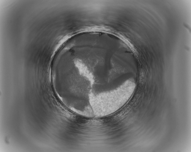 X0000094791224200712071220