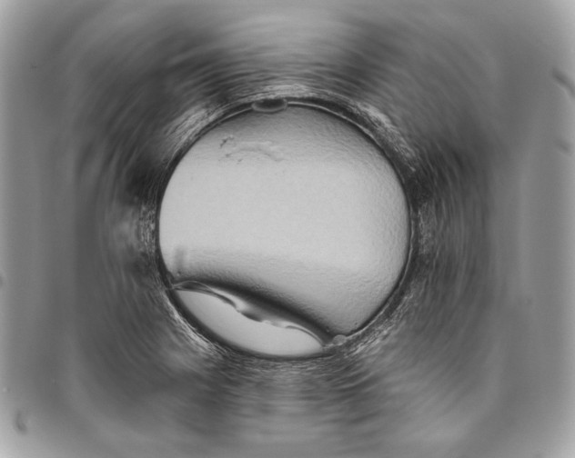 X0000094791225200712071220