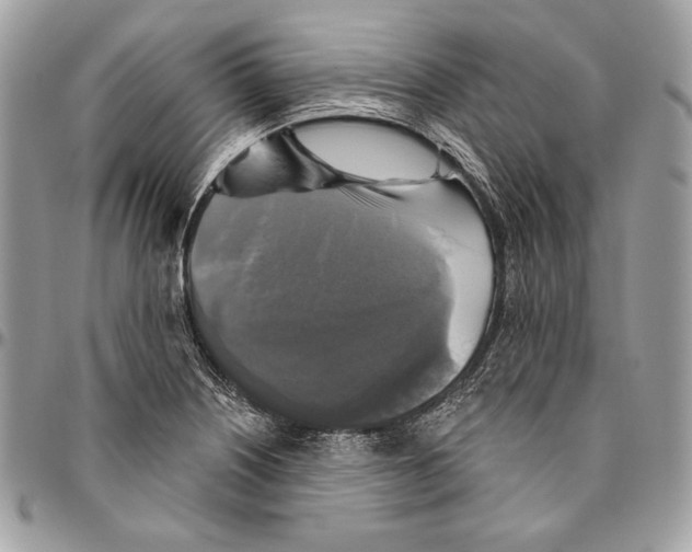 X0000094791226200712071220