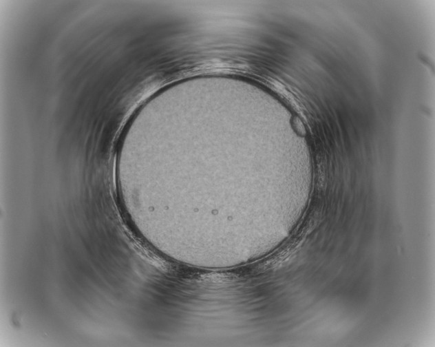 X0000094791227200712071220