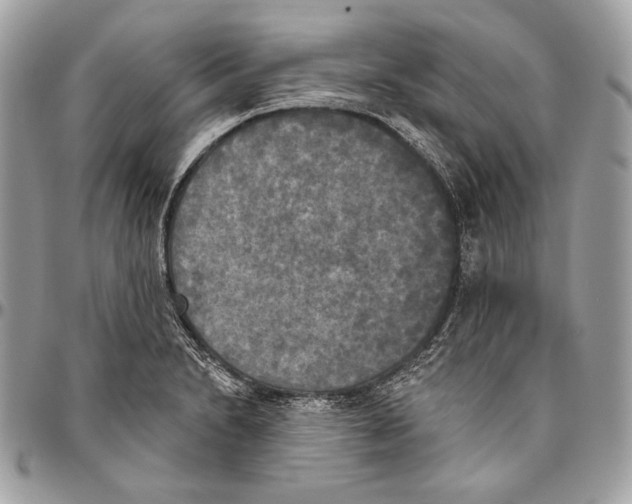 X0000094791230200712071220