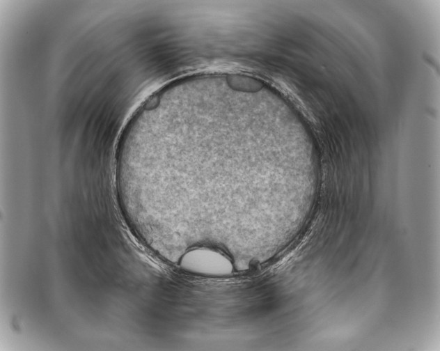 X0000094791232200712071220