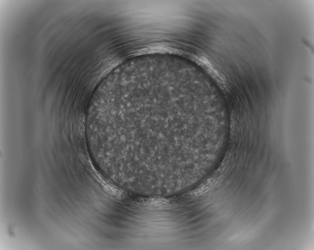 X0000094791233200712071220