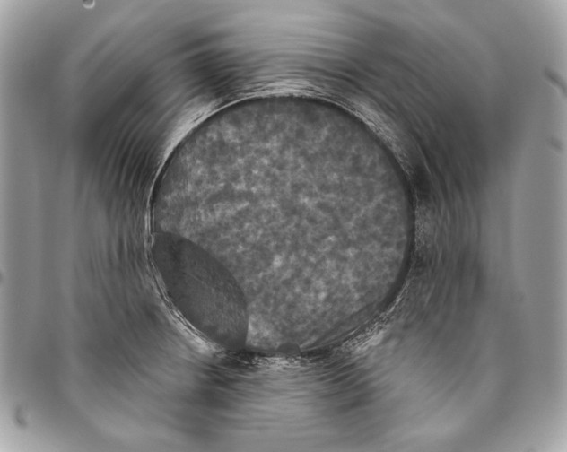 X0000094791234200712071220