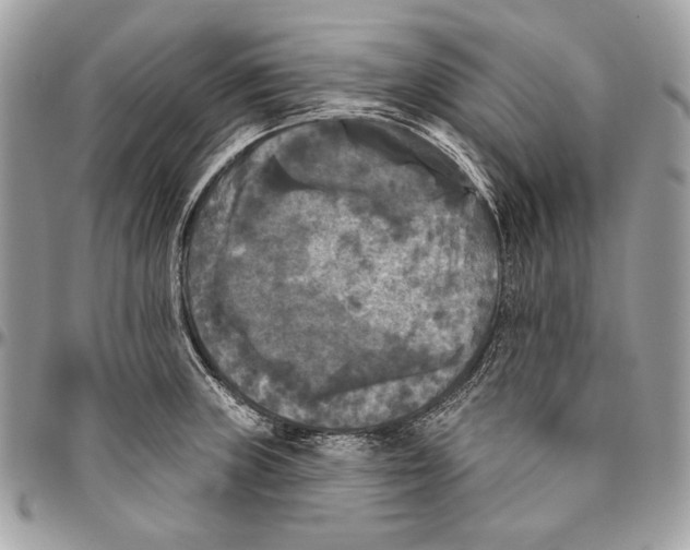 X0000094791235200712071220