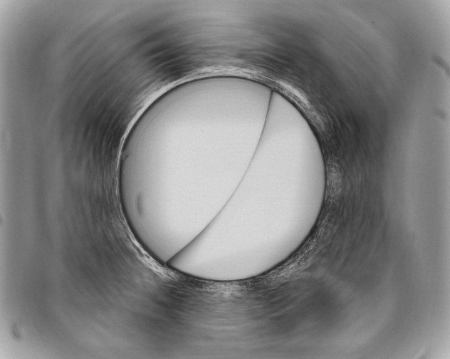 X0000094791236200712071220