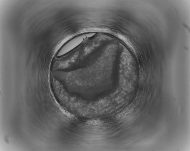 X0000094791237200712071220