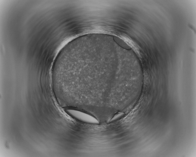 X0000094791238200712071220