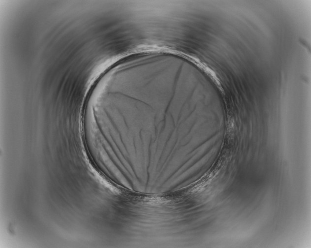 X0000094791239200712071220