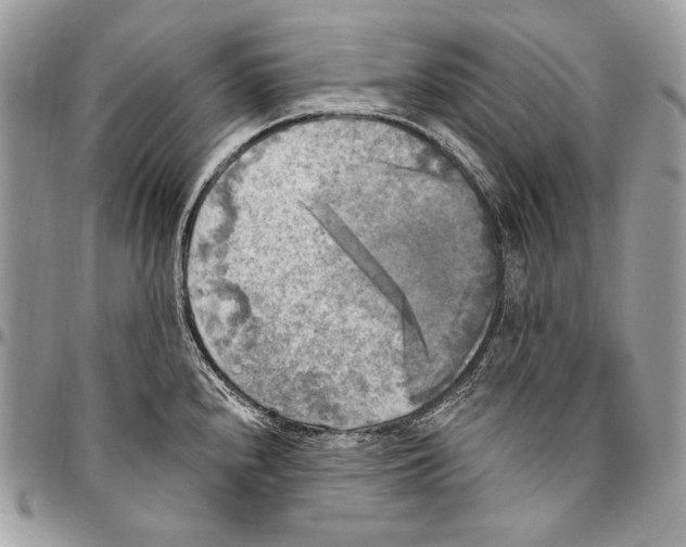 X0000094791240200712071220