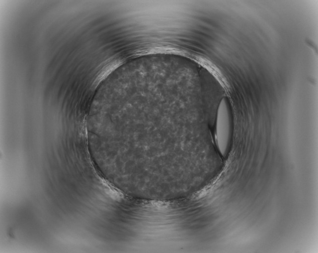 X0000094791241200712071220