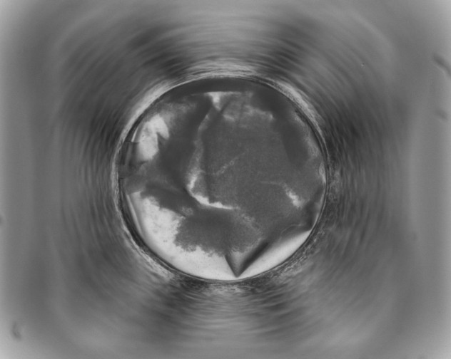 X0000094791243200712071220