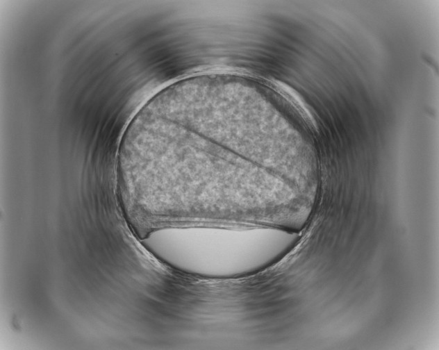 X0000094791244200712071220