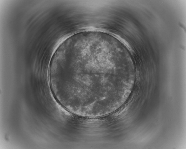 X0000094791247200712071221