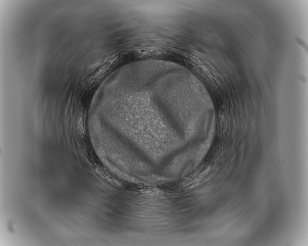 X0000094791250200712071220