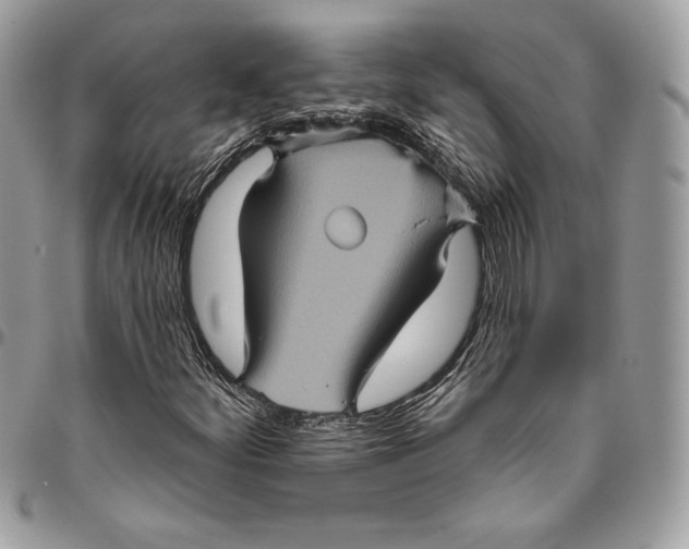 X0000094791252200712071220