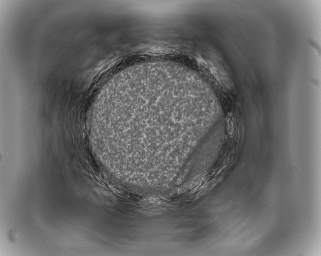 X0000094791253200712071220