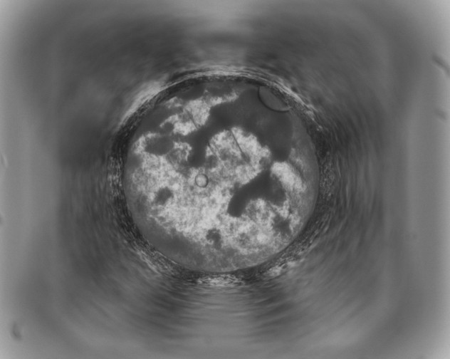 X0000094791255200712071220