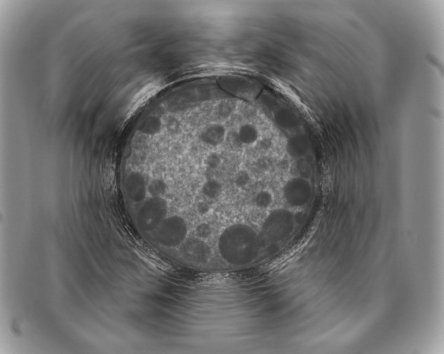 X0000094791259200712071220