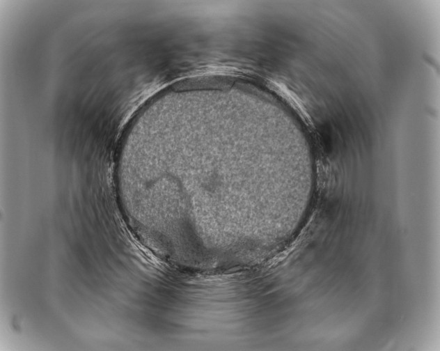 X0000094791260200712071220