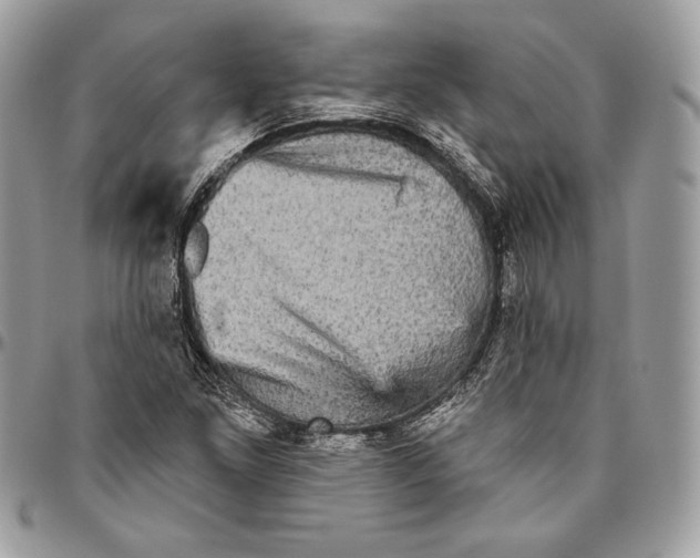 X0000094791261200712071220