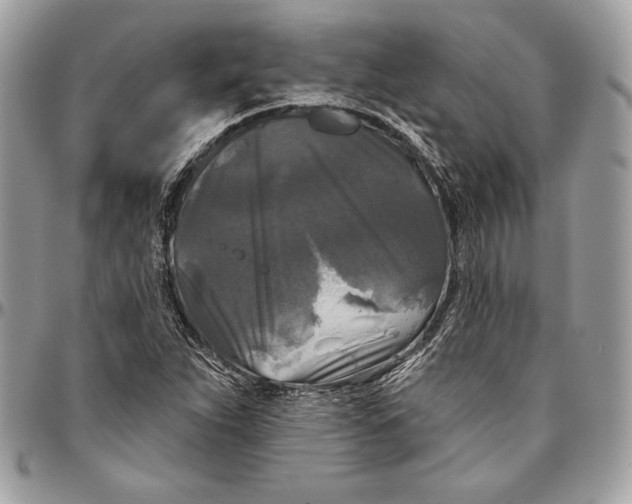 X0000094791263200712071220