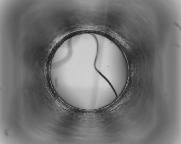 X0000094791264200712071220