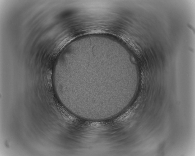 X0000094791265200712071219