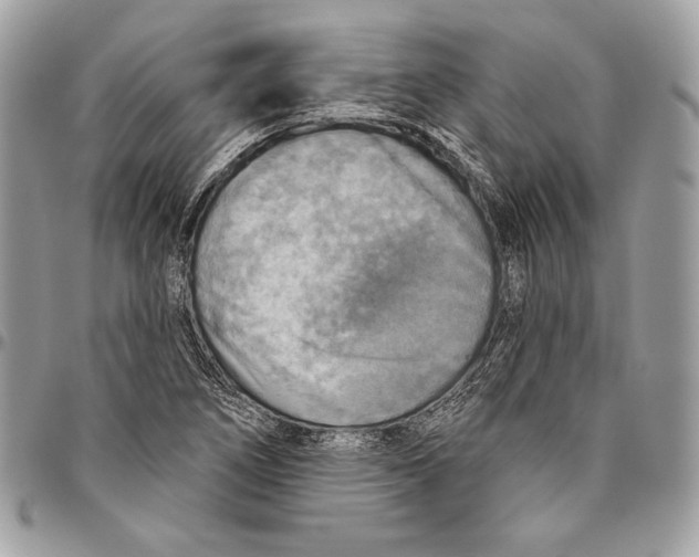 X0000094791266200712071219