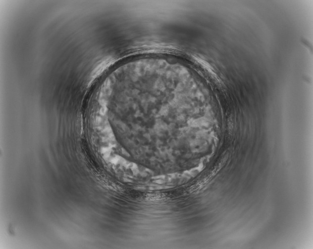 X0000094791267200712071219