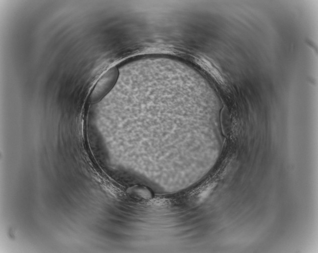 X0000094791268200712071219