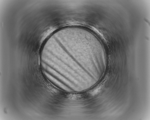 X0000094791269200712071219