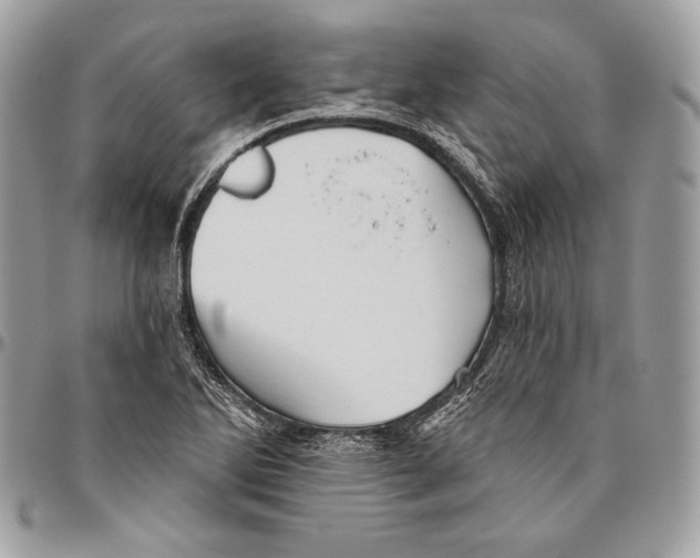 X0000094791270200712071219