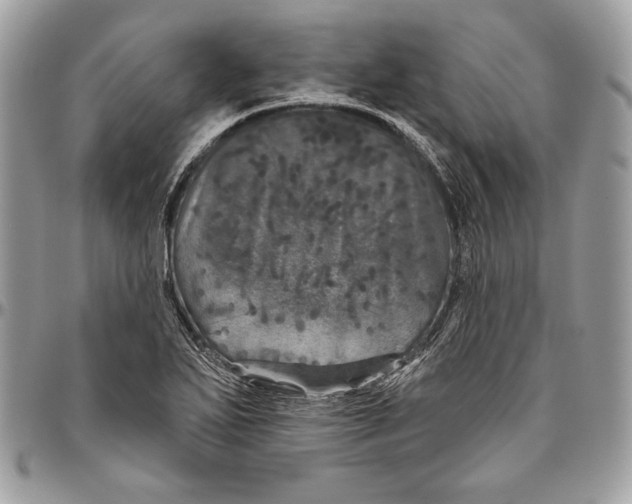 X0000094791271200712071219