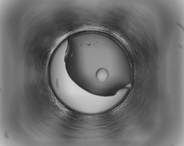 X0000094791272200712071219