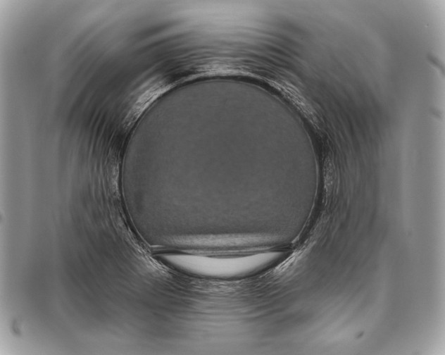 X0000094791273200712071219