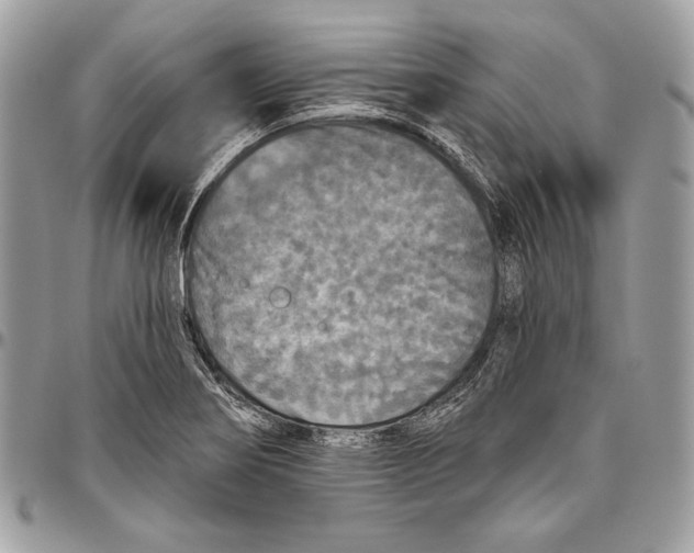 X0000094791274200712071219