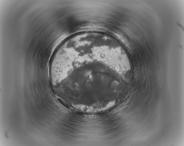 X0000094791275200712071219