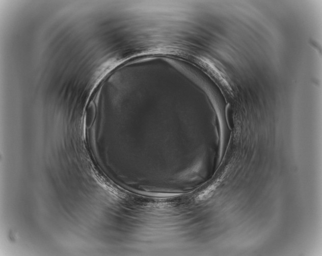 X0000094791276200712071219