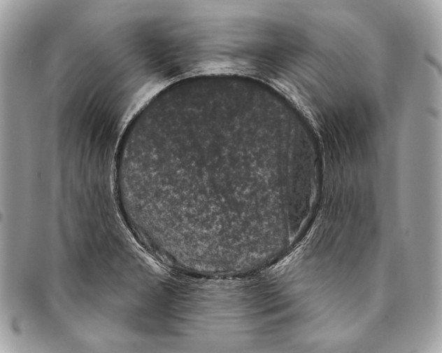 X0000094791277200712071219