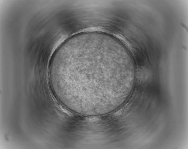 X0000094791278200712071219