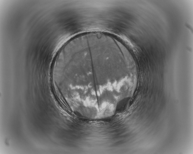 X0000094791279200712071219