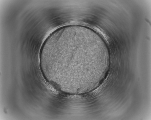 X0000094791280200712071219