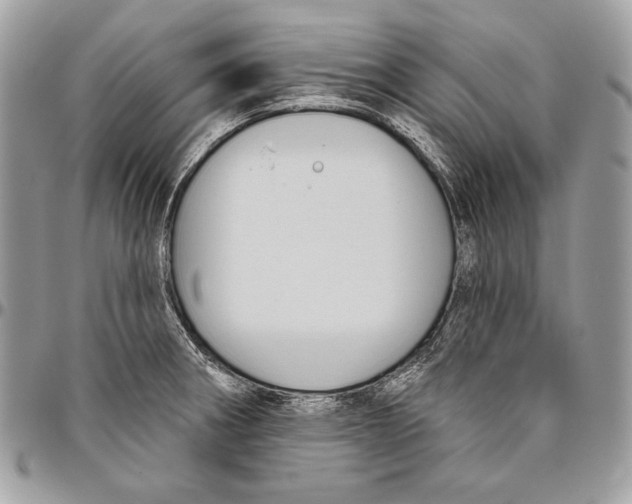 X0000094791282200712071219