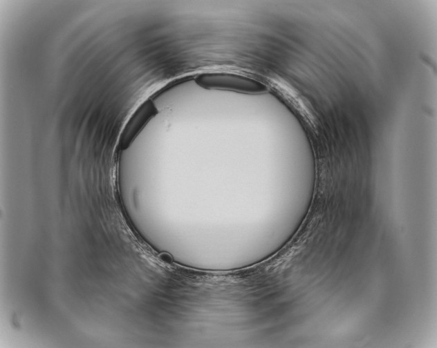 X0000094791284200712071219